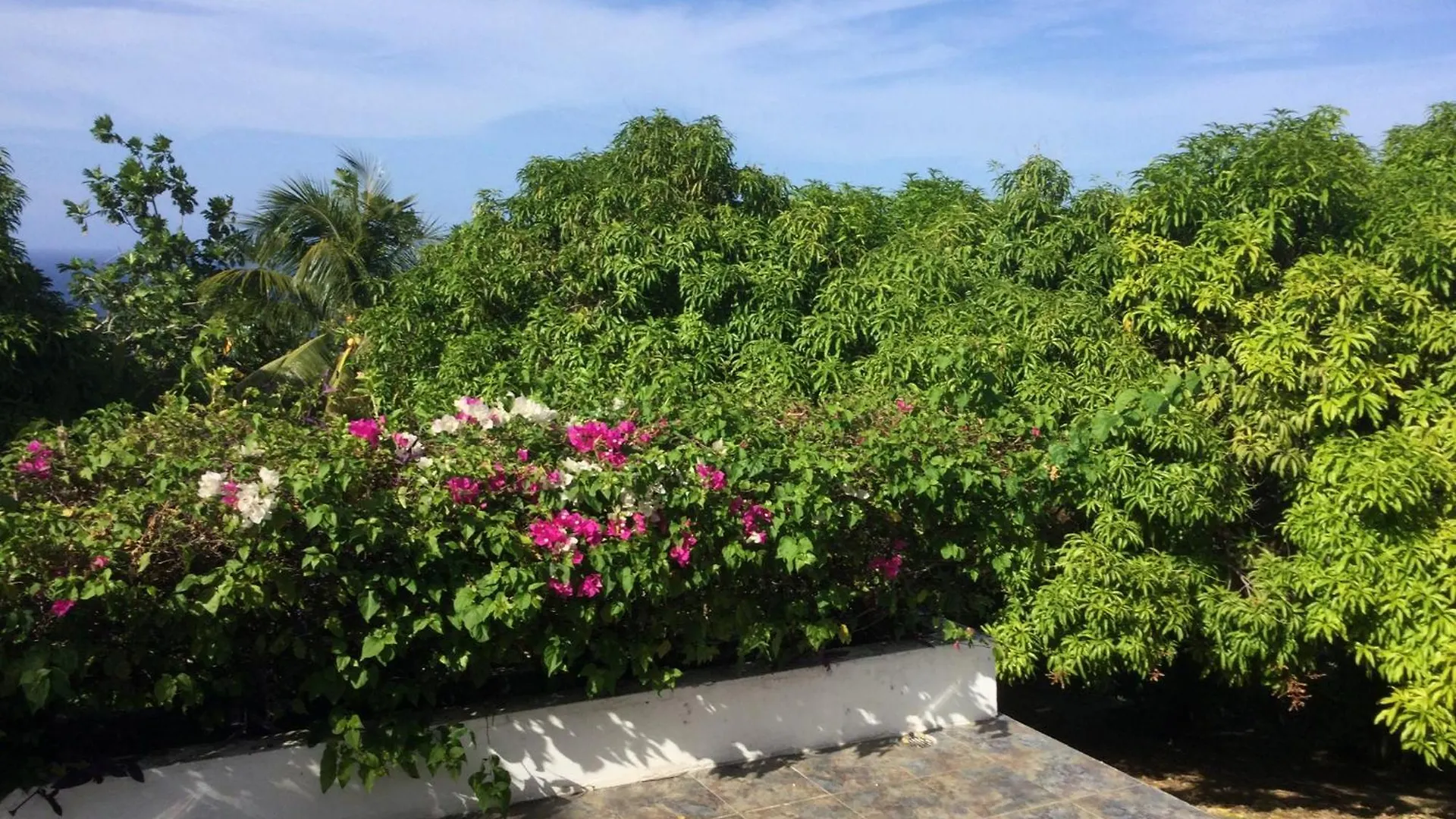 Privatunterkunft Ferienwohnung Hiatusmobay Montego Bay